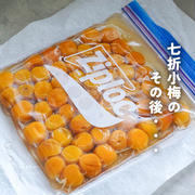 七折小梅のその後・・・（今年はアレを仕込んでみるよ）