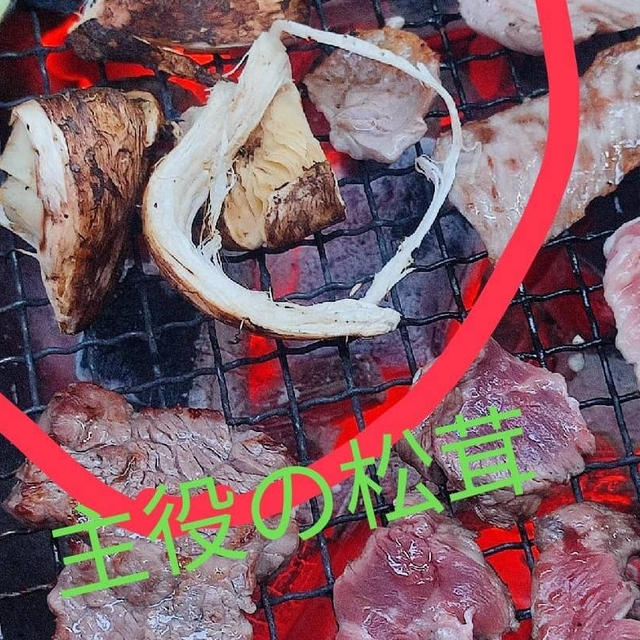 松茸様