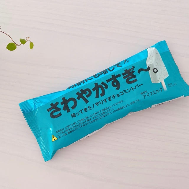 【セブンイレブン】チョコミン党が即買いしたアイスの味は…。