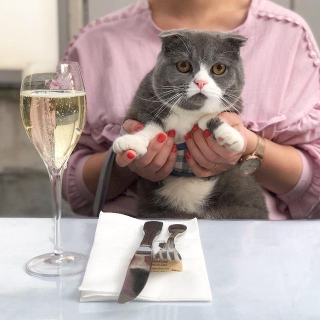 いくら、はじめてのフレンチ