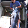 ◆ダーリンの釣果は、40キロの天然【クロマグロ】♪ by fellowさん