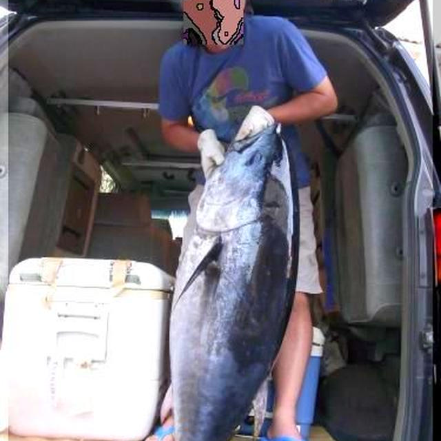 ◆ダーリンの釣果は、40キロの天然【クロマグロ】♪