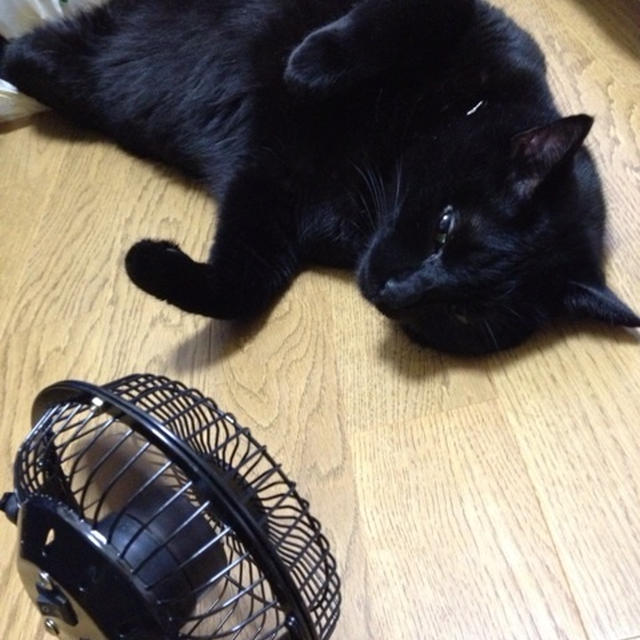 悩んでること