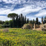 シチリア南西部の旅３ 〜古代ローマの遺跡 ヴィッラ・ロマーナ・デル・カサーレ〜