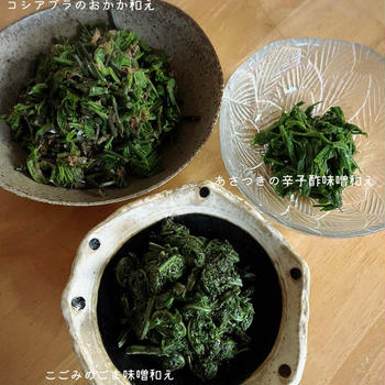 山菜/雑草と区別が出来ない男