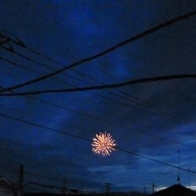 コロナ退散花火とラタトゥイユ作った！