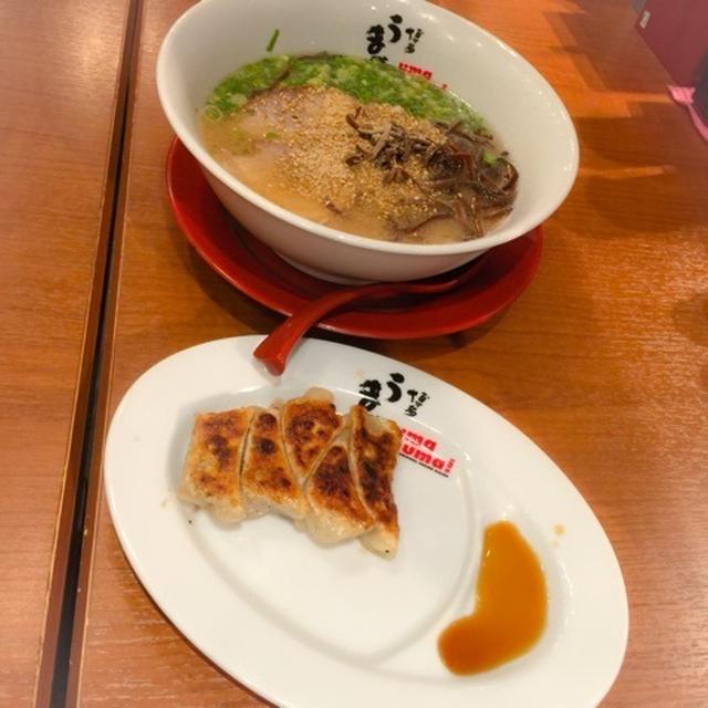 【渋谷】うま馬　渋谷ヒカリエ店　 博多ラーメン　一口餃子とラーメンのセット