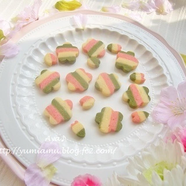 ひな祭り 3色ストライプクッキー By Aya さん レシピブログ 料理ブログのレシピ満載
