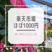 ほぼ1000円買い周りにも♪楽天お買い物マラソン