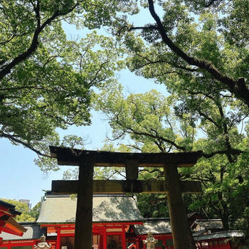 【6月お朔日詣りと雑貨市】