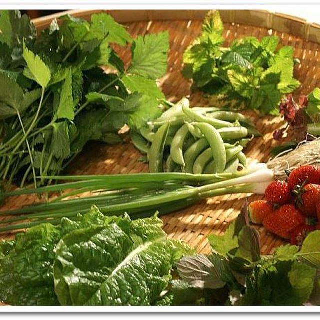プランター野菜を使った朝ご飯です。今日２つ目の記事です〜＾＾