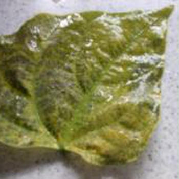 病気？