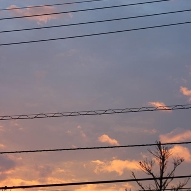 お空を見上げてスウェーデンを想う・・・