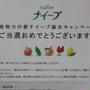 久しぶりに当たりました！