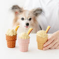 犬用アイスの作り方のポイントと、さつまいもアイスレシピ掲載のお知らせ