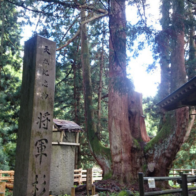キャンプの旅