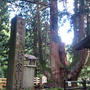 キャンプの旅