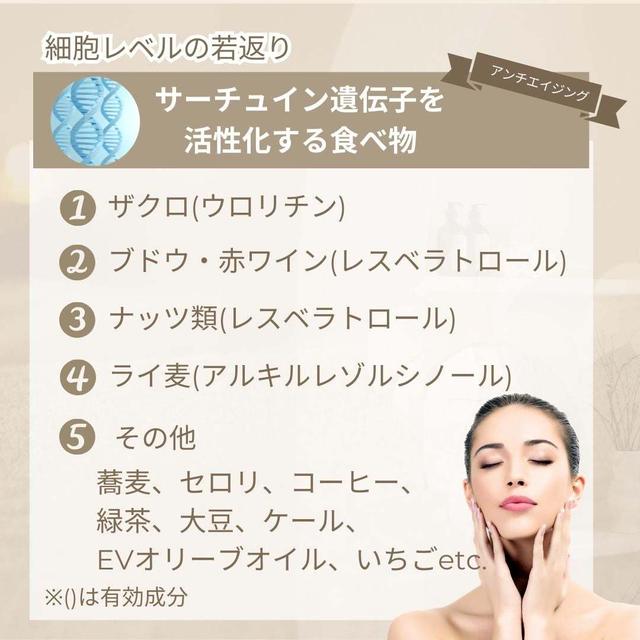 長寿遺伝子　サーチュイン遺伝子を活性化する食べ物