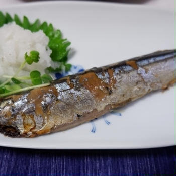 5/27　秋刀魚の丸干し