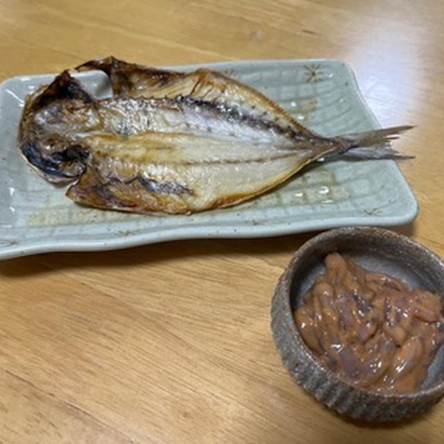 伊東の干物屋「山国商店」で真っ当な鯵の干物とめちゃ旨塩辛