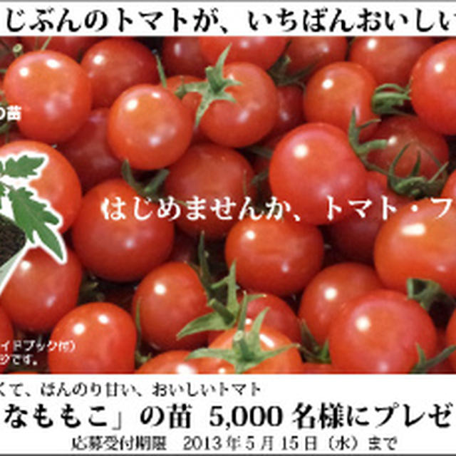 ★応募★苗・苗・栽培キット！