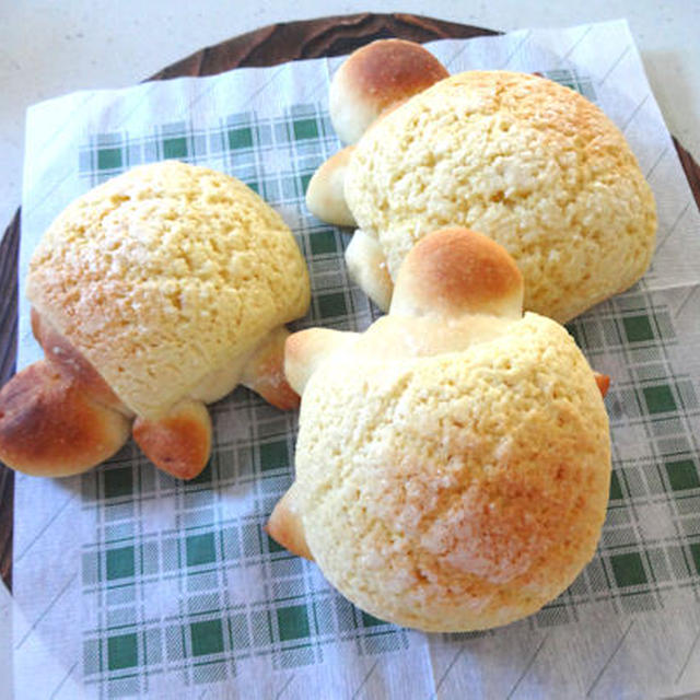 そろそろ定番☆カメロンパン