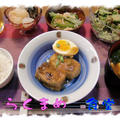 【厚揚げの肉詰め　中華風味】定食♪とタロウの新しいクレートを出しました。