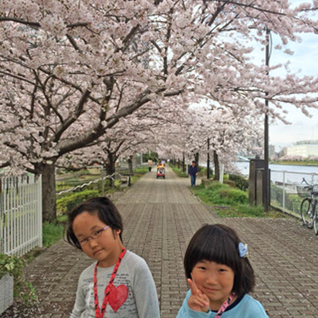 お花見と団子♪