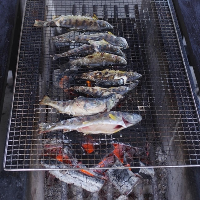 ありがとうございます☆夏休み帰郷のご報告＆くらしのアンテナ御礼