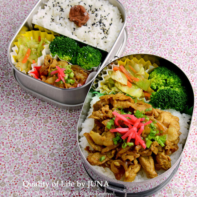 【今日のおべんと】カレー豚丼