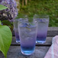 Butterfly Pea Lemonade バタフライピーレモネード