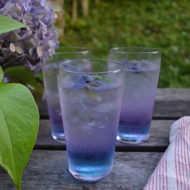 Butterfly Pea Lemonade バタフライピーレモネード