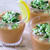 シャキシャキ野菜のガスパチョ
