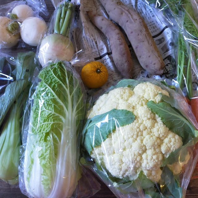 野菜がたくさん届きました＼(^o^)／