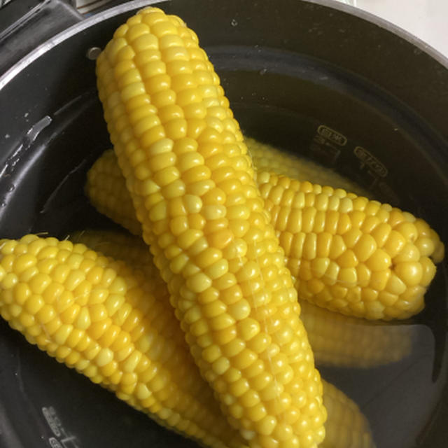 初物は寿命が伸びる、もういいんだけどさ。