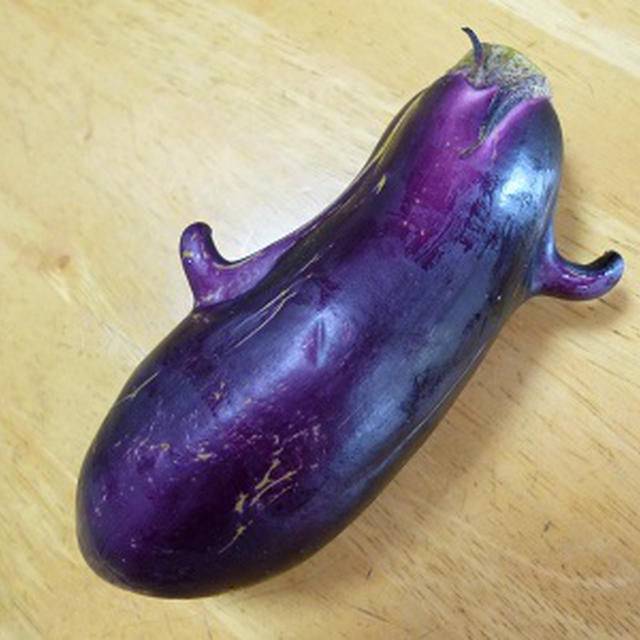 はにわナスビ