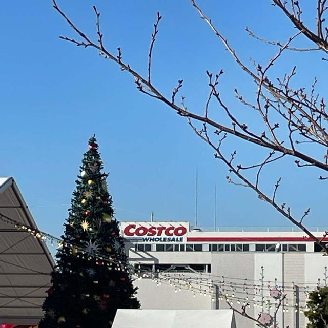 コストコ＊びっくりするようなものを購入！