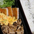 11月24日　　豚肉の甘辛炒め弁当