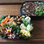 お弁当（おかかふりかけ）