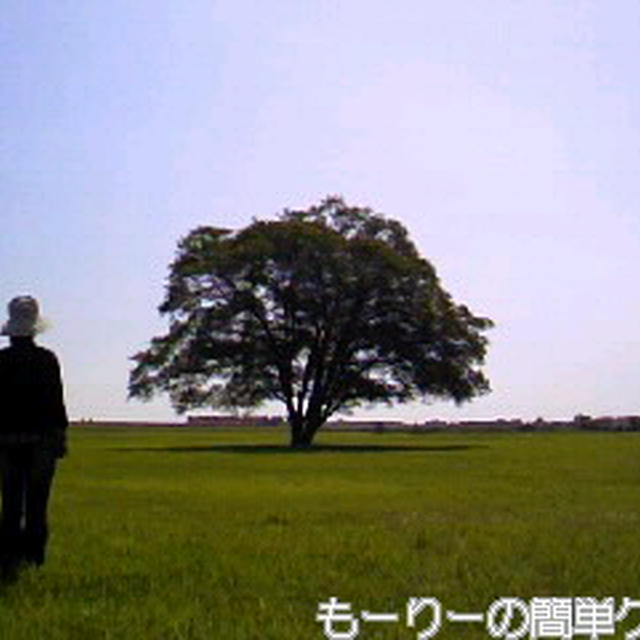 きょうは十勝です