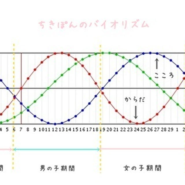 ベビ待ち★バイオリズムで産み分けって？☆