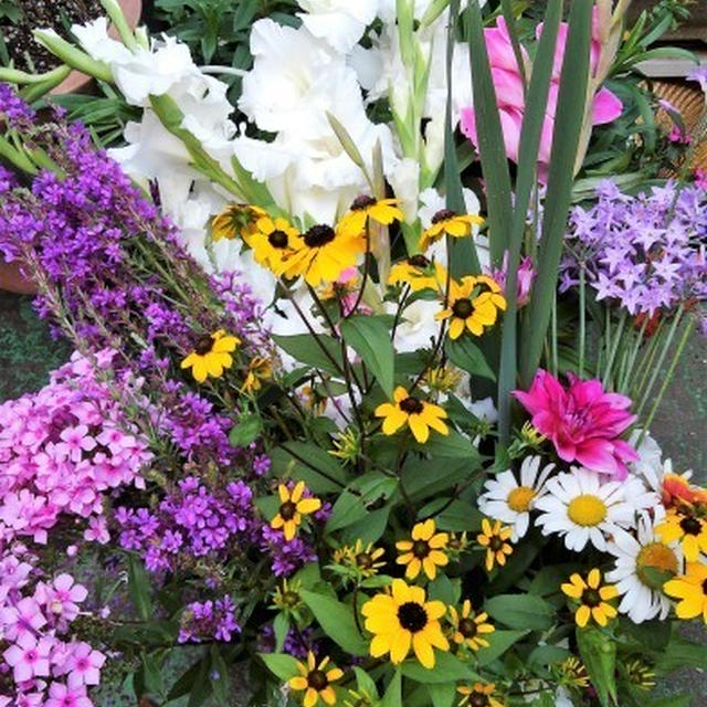 ■Myファーム便り・花摘み【お墓参りに　今咲いて居る畑のお花を摘んで来ました＾＾】