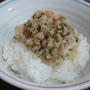 塩麹さん☆ご飯が進む☆鱈とうどのそぼろ！