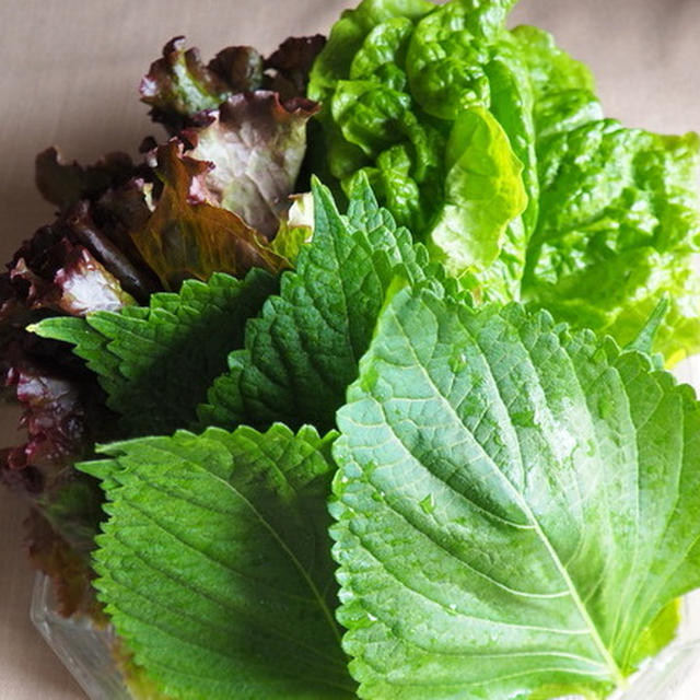 野菜で巻いてパクリ