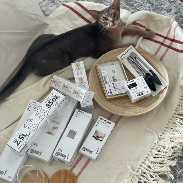 半年ぶりくらいにIKEAへ行ってきた