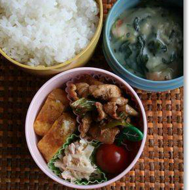 豚肉とネギの塩だれ焼き＆ほうれん草とエビのクリーム煮