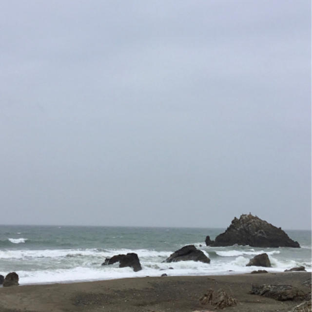 雨の田原、赤羽根ドライブ