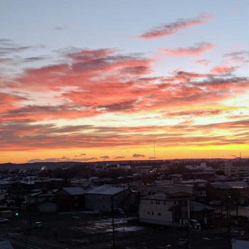 今年もこの季節が来ました