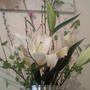 Spring　has come!