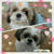 コットンのbefore after